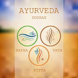 Practical Ayurveda for Self Healing -dosha graphic.jpg